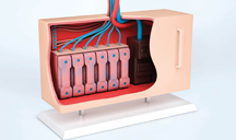 在线电话轰炸网页版